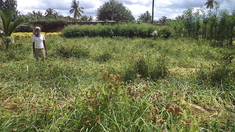 ತುಮಕೂರಿನಲ್ಲಿ ಮಳೆ ಎಷ್ಟು ಆಯ್ತು ಗೊತ್ತಾ?