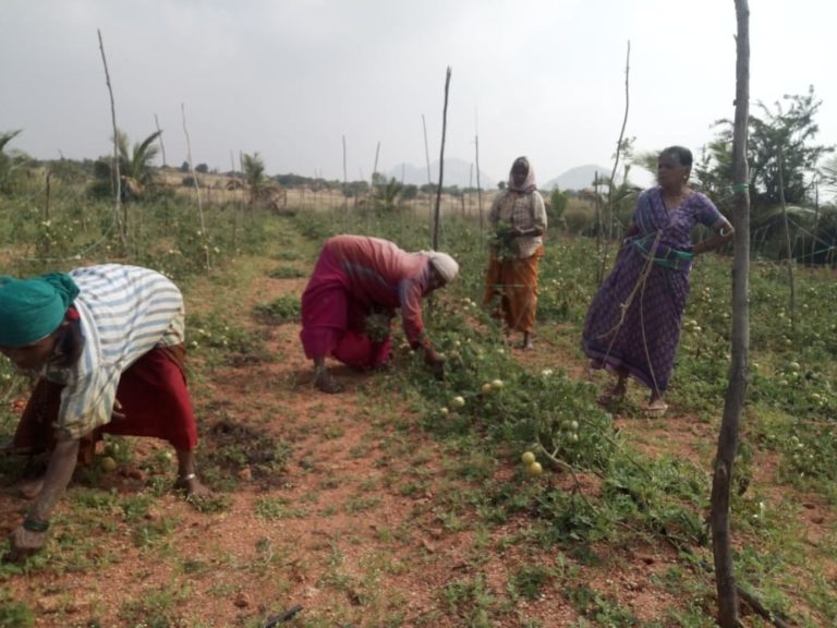 ರೈತರಿಗೆ ದುಪ್ಪಟ್ಟು ಆದಾಯ: ಪ್ರಧಾನಿ ನರೇಂದ್ರಮೋದಿ ಕನಸು ತುಮಕೂರಿನಲ್ಲಿ ನನಸಾಗುವುದೇ ?