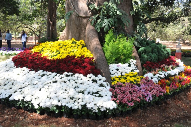 ತುಮಕೂರು ಫಲಪುಷ್ಪ ಪ್ರದರ್ಶನ ಚಿತ್ರಗಳ ಝಲಕ್