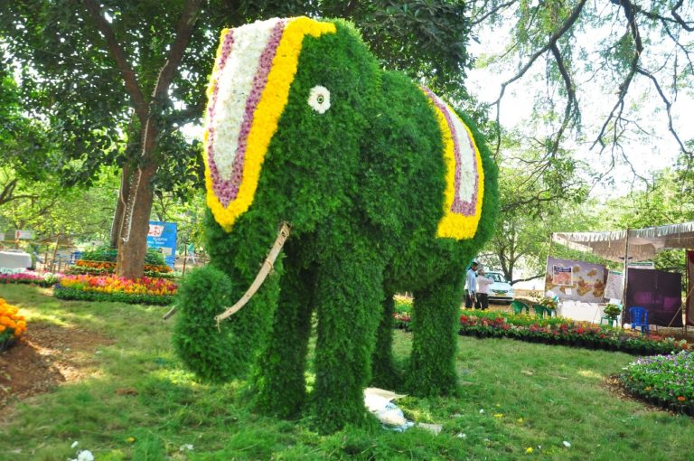 ನೀವು ಮಿಸ್ ಮಾಡದೇ ನೋಡಬೇಕಾದ ಫಲಪುಷ್ಪ ಪ್ರದರ್ಶನ