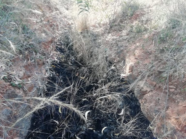 ಅರಣ್ಯಕ್ಕೆ‌ ಕೆಮಿಕಲ್ ದ್ರವ