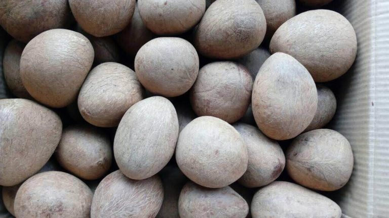 ತಿಪಟೂರು ಕೊಬ್ಬರಿಗೆ GI ಬನ್ನಿ ಕೈ ಜೋಡಿಸಿ….