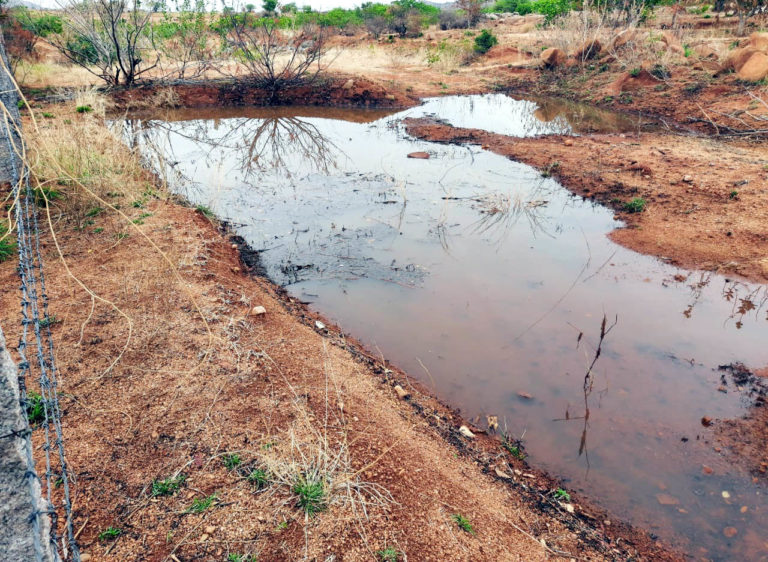 ತುಮಕೂರು ಒಂದೇ ದಿನ 17 ಮಿ.ಮೀ ಮಳೆ: ಕೊರಟಗೆರೆಯಲ್ಲಿ ದಾಖಲೆ