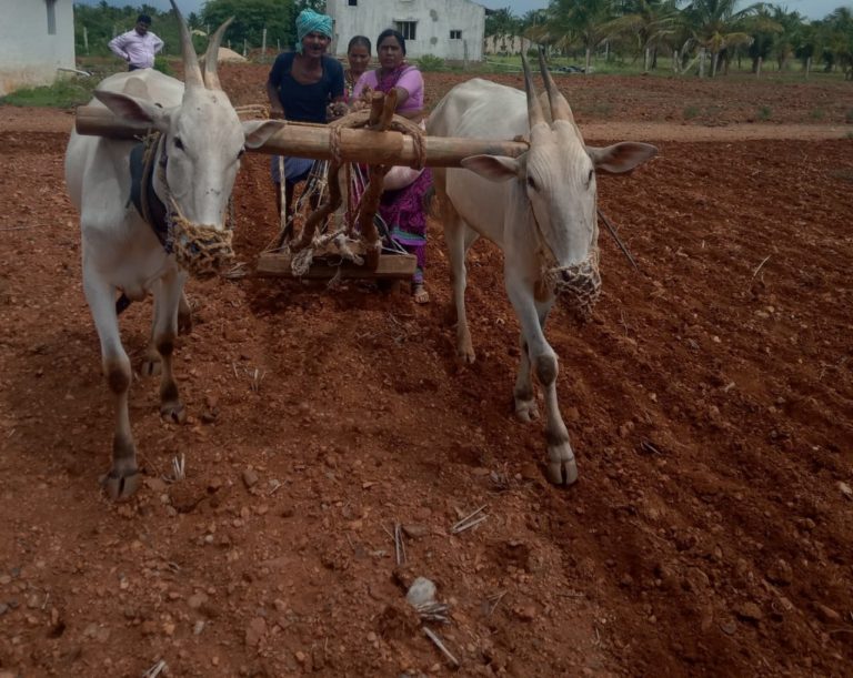 ಮಾಸಿದ ಪಂಚೆ, ಹೆಗಲ ಮೇಲೆ ಟವಲ್‌ ಇವು ಮಾತ್ರ ರೈತರ ಡ್ರೆಸ್‌ ಕೋಡ್ ಆಗಬೇಕೇ…..?‌