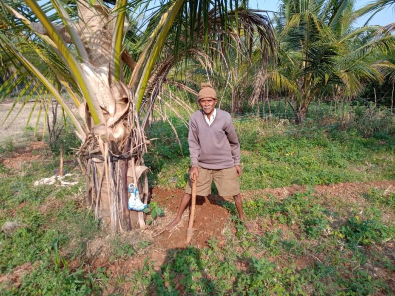 ಮುಕ್ಕಾಲು ಎಕೆರೆಯಲ್ಲಿ ಏನ್ನೆಲ್ಲ‌ ಮಾಡಬಹುದು: ನೋಡಲು ದಂಜ್ಯಾನಾಯ್ಕರ ತೋಟಕ್ಕೆ ಬನ್ನಿ