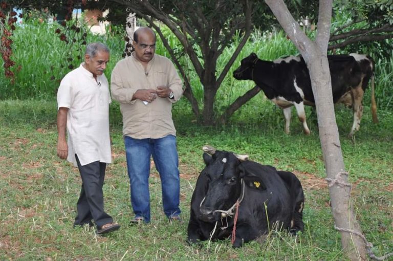 ನಾಗೇಶ್ ಹೆಗಡೆ ಸಾಧನೆಯಲ್ಲಾ ‘ಮಣ್ಣು’