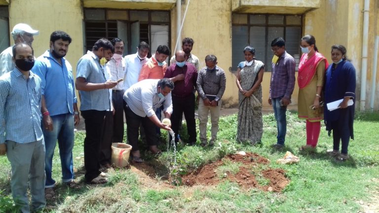 ಕಳ್ಳನಕೆರೆಗೆ ಬಂದೇ ಬಿಟ್ಟವು ಗಿಡಗಳು…