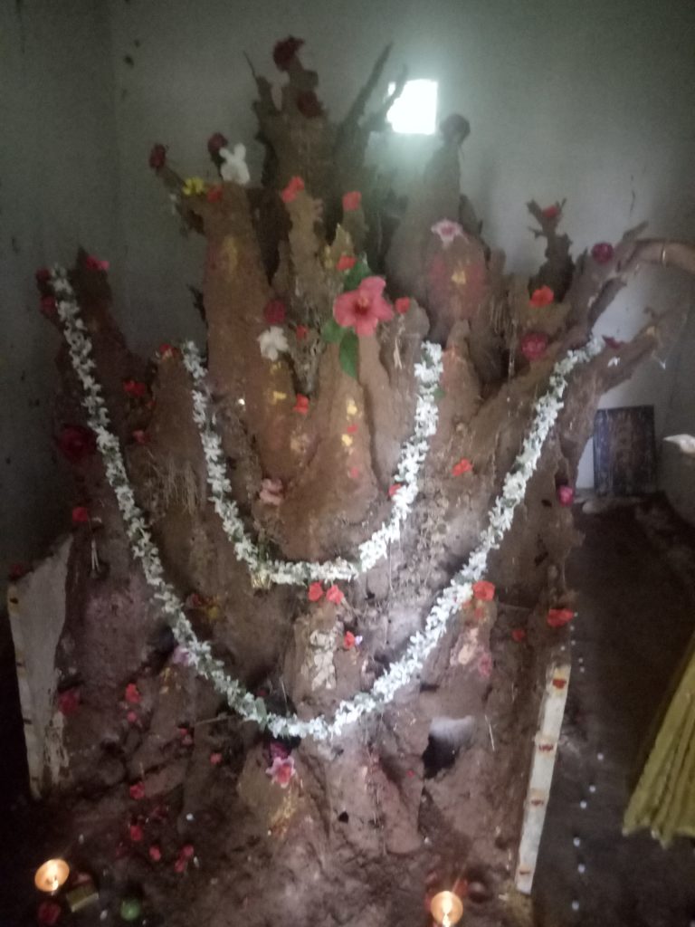 ತುಮಕೂರಿನಲ್ಲಿ ನಾಗರ ಪಂಚಮಿ, ಶ್ರಾವಣ ಸಂಭ್ರಮ