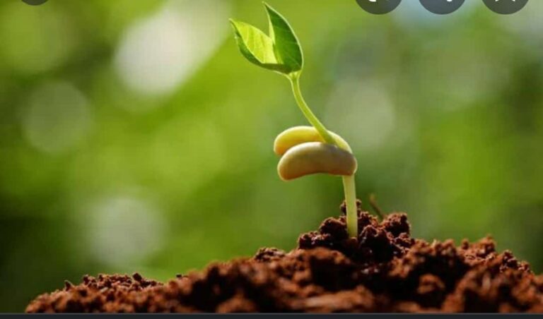 ಬೆಳೆಯುವುದೆಂದರೆ…