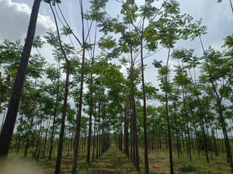 ಇಷ್ಟುಬೇಗ ಈ ಪರಿಸ್ಥಿತಿ ಬರುತ್ತದೆ ಅಂದುಕೊಂಡಿರಲಿಲ್ಲ…