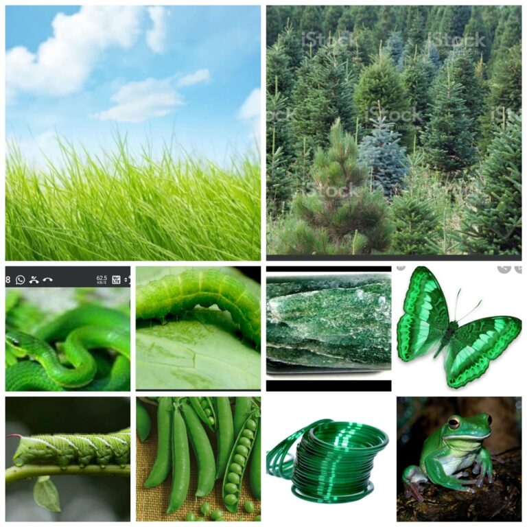 ನವರಾತ್ರಿ ಕವನಗಳು: ಹಸುರು