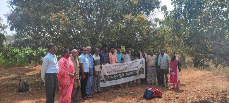ಬರುತ್ತಿದೆ ಮಾವಿಗೆ ರೋಗ: ಇಲ್ಲಿದೆ ಪರಿಹಾರ