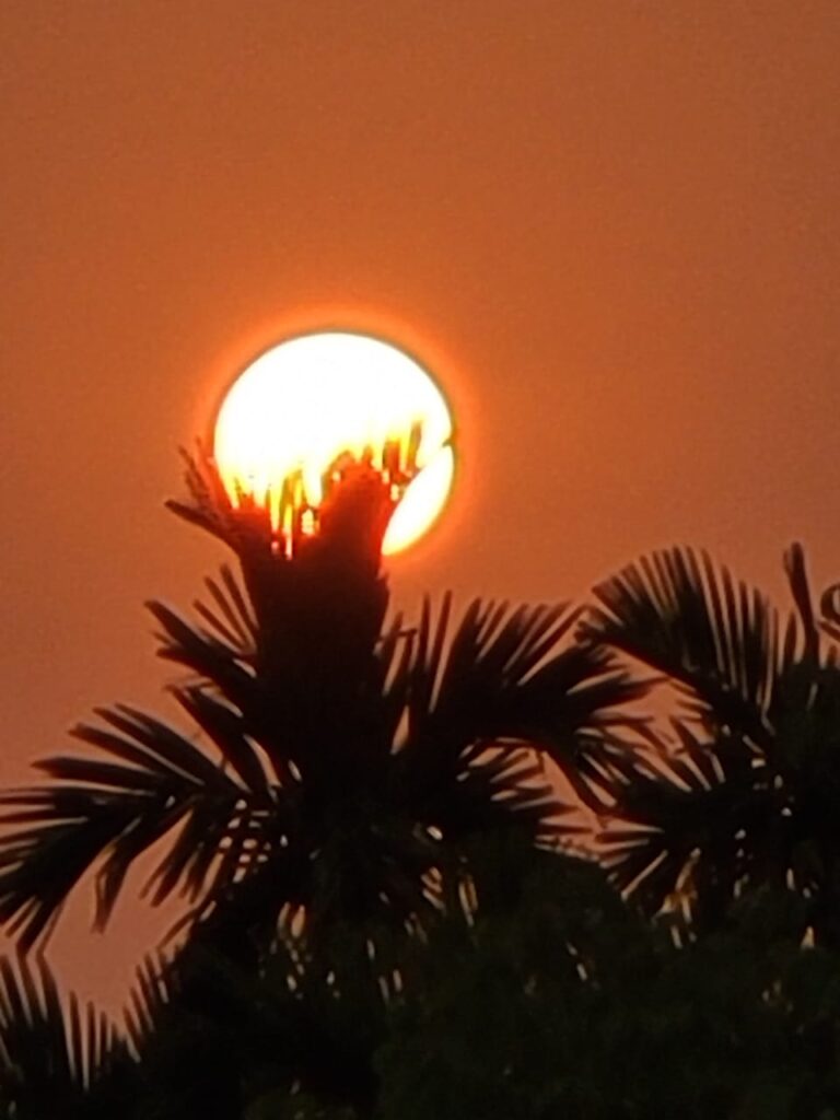 ಜೀವನ:ಯಾರಿಗಾಗಿ?/