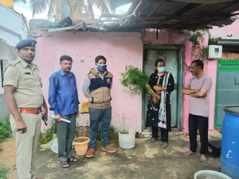 ಹೂವಿನ ಕುಂಡಗಳಲ್ಲಿ ಗಾಂಜಾ ಬೆಳೆ: ಆರೋಪಿ ಬಂಧನ