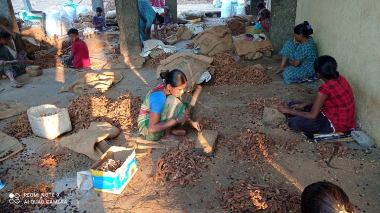 ಇದು ₹ 16 ಸಾವಿರ ಹುಣುಸೆ!