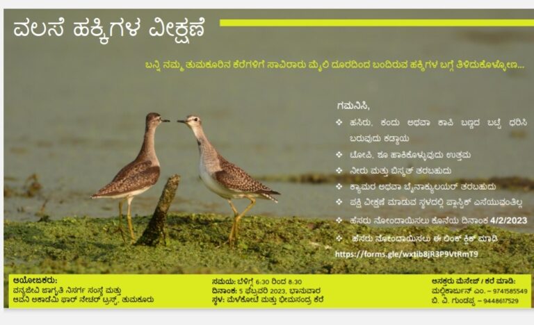 ತುಮಕೂರಲ್ಲಿ ವಲಸೆ ಹಕ್ಕಿಗಳ ವೀಕ್ಷಣೆ.