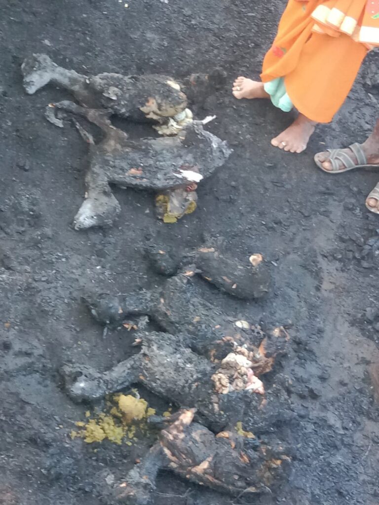 ಗುಡಿಸಲಿಗೆ ಆಕಸ್ಮಿಕ ಬೆಂಕಿ : 15 ಮೇಕೆಗಳು ಸಜೀವ ದಹನ