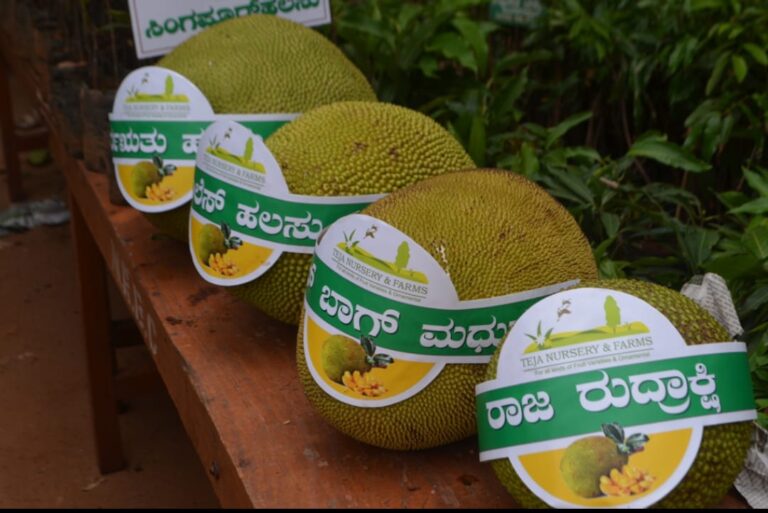 ಹುಬ್ಬಳ್ಳಿಯಲ್ಲಿ ಹಲಸು ಮೇಳ