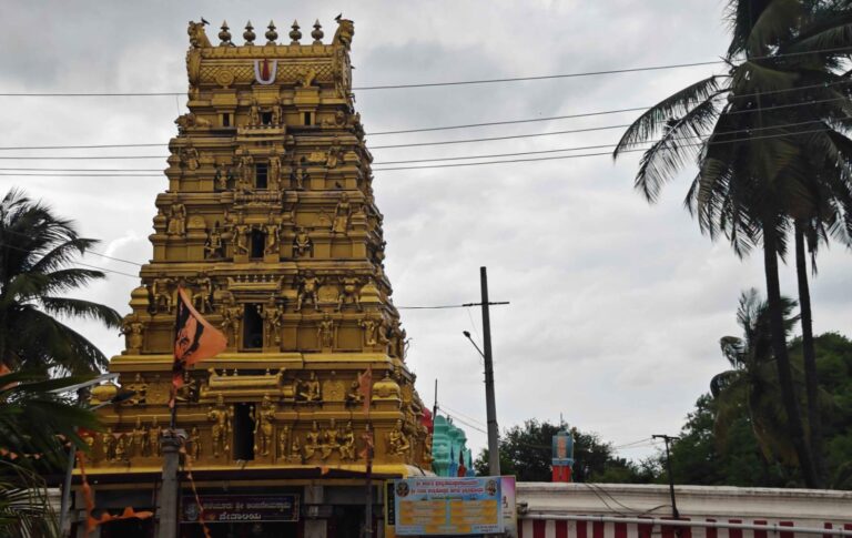 ಅಭಯ ಹಸ್ತ ಆಂಜನೇಯ ಸ್ವಾಮಿಗೆ ತಪ್ಪದ ಅಲೆದಾಟ!